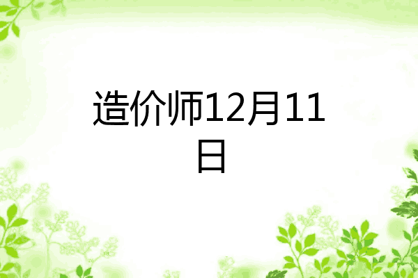 造价师12月11日