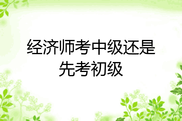 经济师考中级还是先考初级