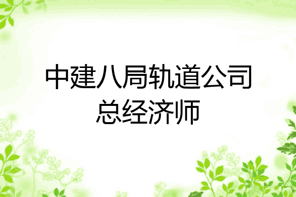 中建八局轨道公司总经济师