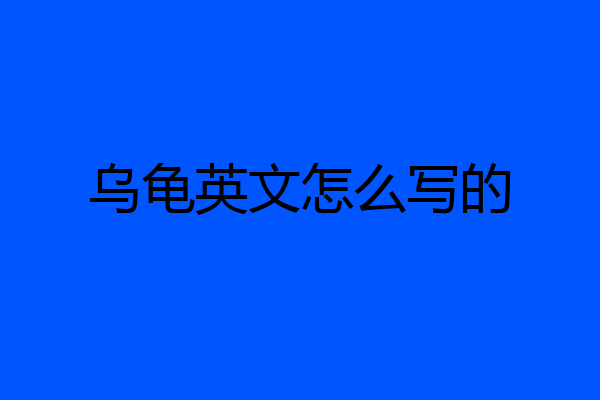 乌龟英文怎么写的