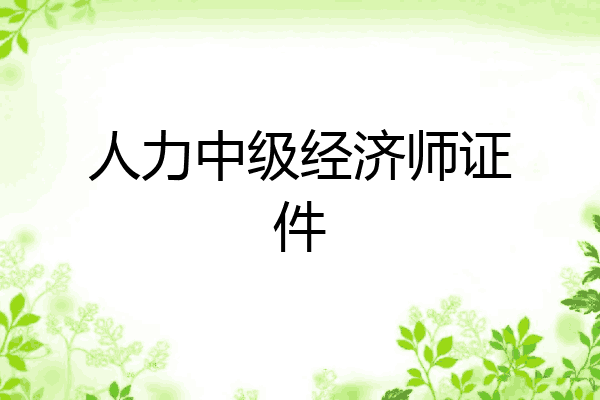 人力中级经济师证件