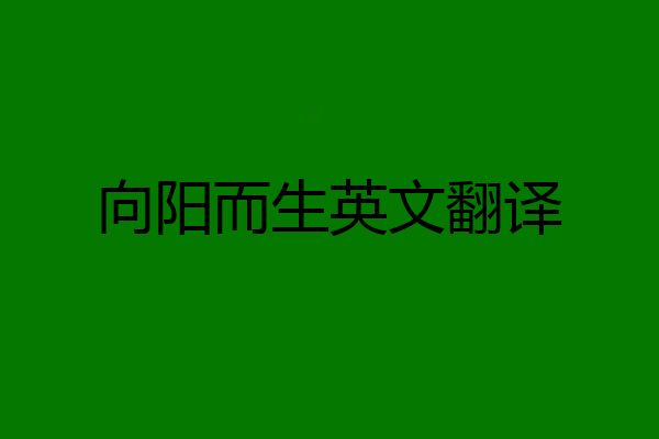 向阳而生英文翻译