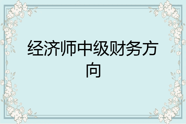 经济师中级财务方向