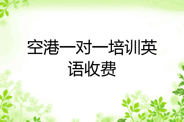 空港一对一培训英语收费