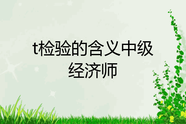 t检验的含义中级经济师