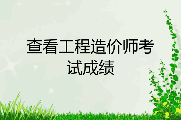 查看工程造价师考试成绩