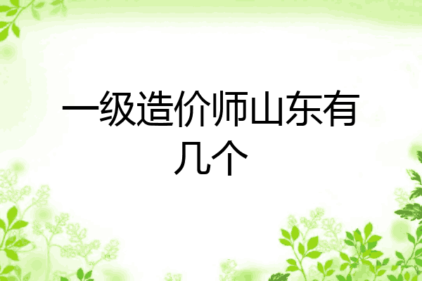 一级造价师山东有几个