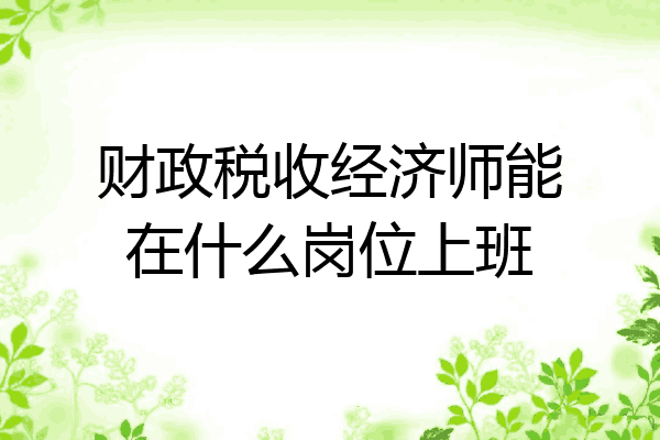 财政税收经济师能在什么岗位上班