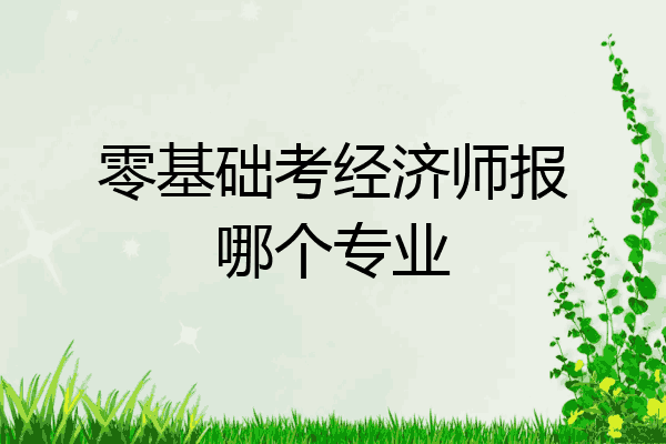 零基础考经济师报哪个专业
