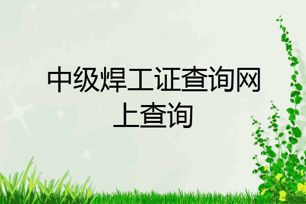 中级焊工证查询网上查询