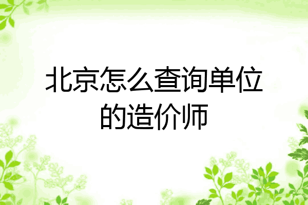 北京怎么查询单位的造价师