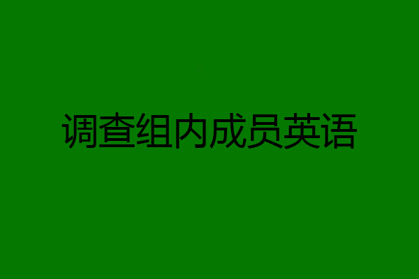 调查组内成员英语