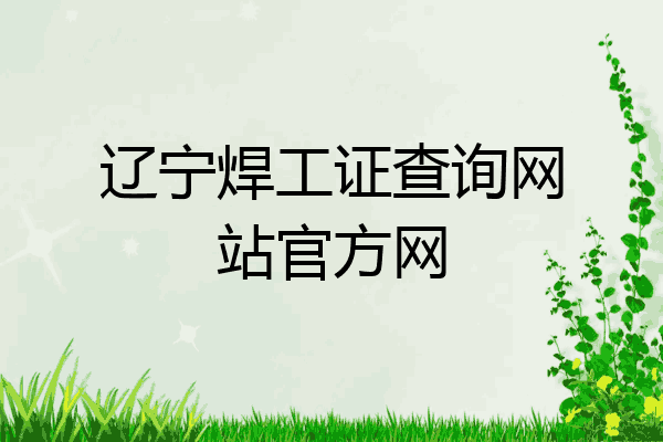 辽宁焊工证查询网站官方网