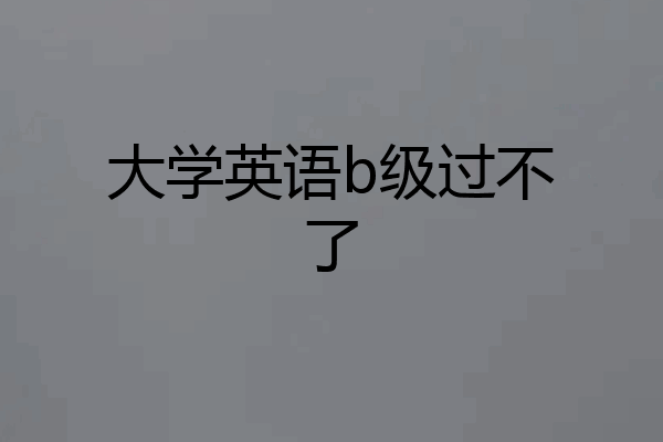 大学英语b级过不了