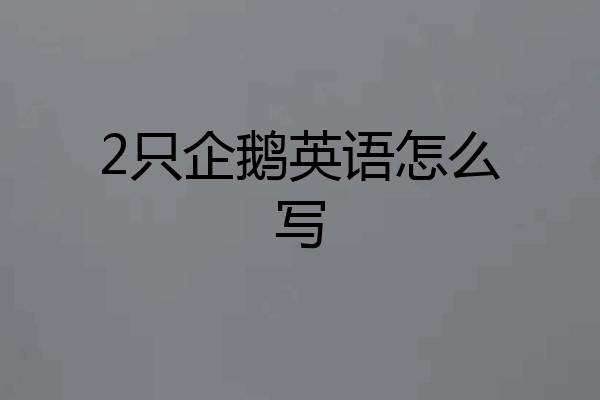 2只企鹅英语怎么写