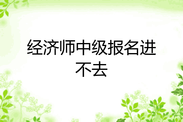 经济师中级报名进不去