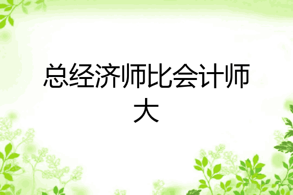 总经济师比会计师大