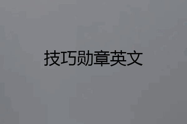 技巧勋章英文