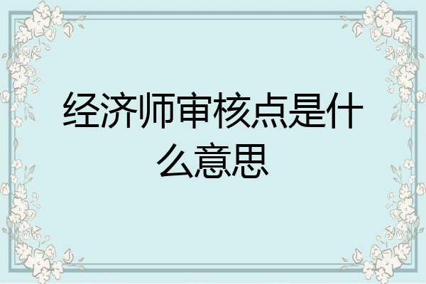 经济师审核点是什么意思