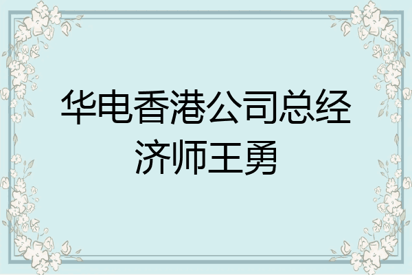 华电香港公司总经济师王勇
