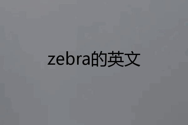 zebra的英文