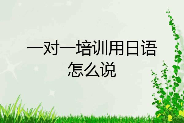 一对一培训用日语怎么说