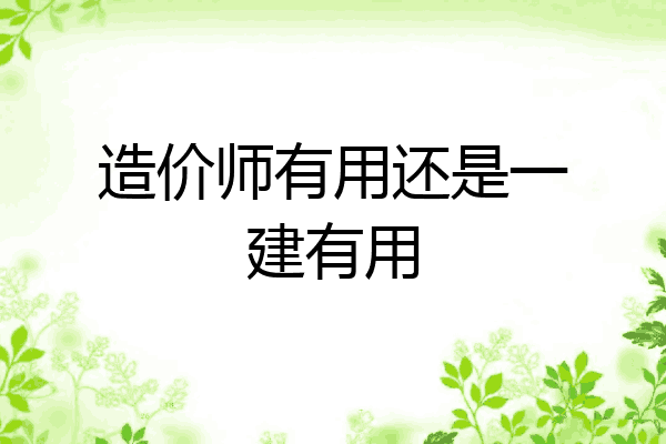 造价师有用还是一建有用