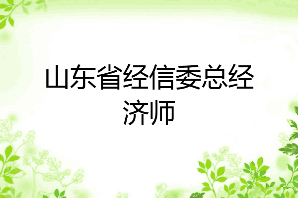 山东省经信委总经济师