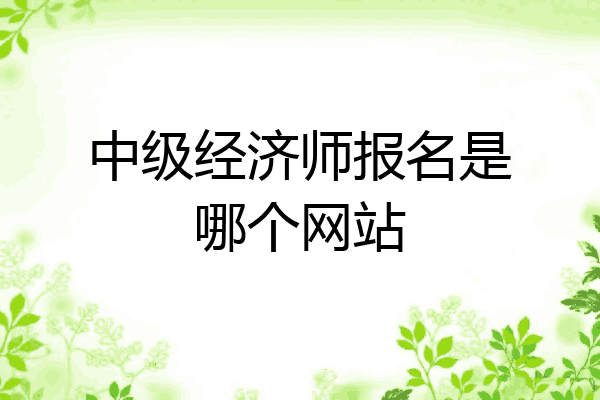 中级经济师报名是哪个网站