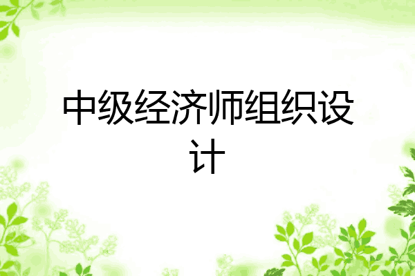 中级经济师组织设计