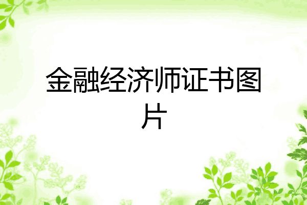 金融经济师证书图片