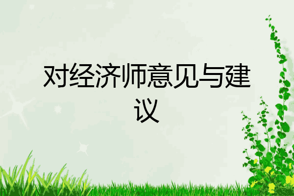 对经济师意见与建议