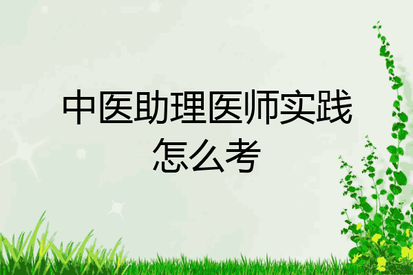 中医助理医师实践怎么考