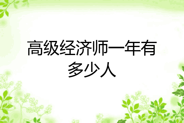 高级经济师一年有多少人
