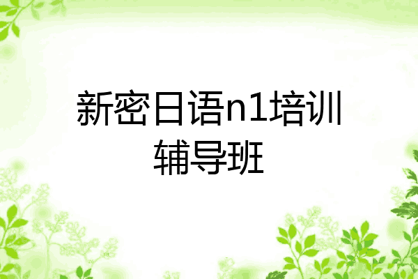 新密日语n1培训辅导班