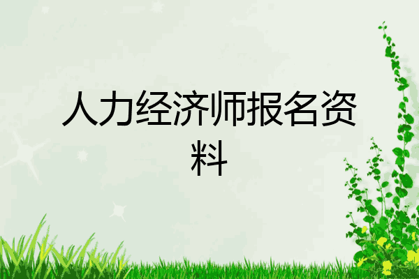 人力经济师报名资料
