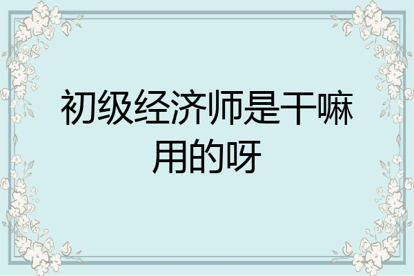 初级经济师是干嘛用的呀