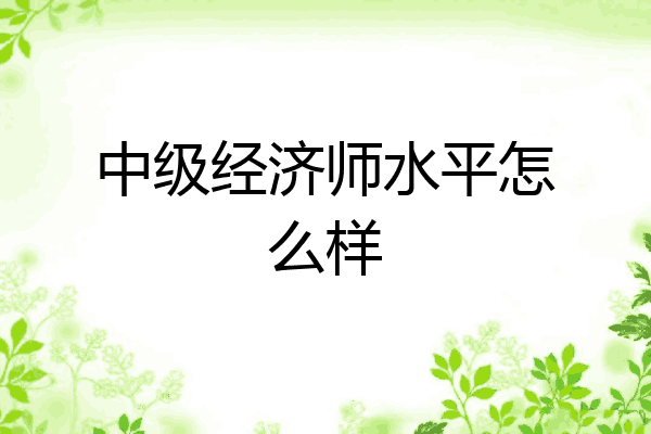 中级经济师水平怎么样