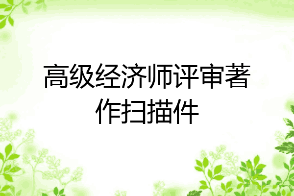 高级经济师评审著作扫描件