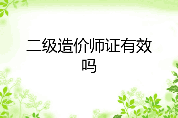 二级造价师证有效吗