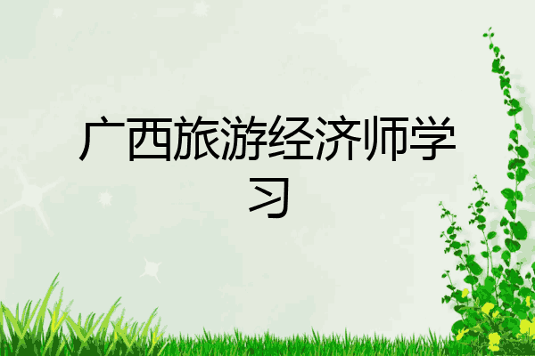 广西旅游经济师学习