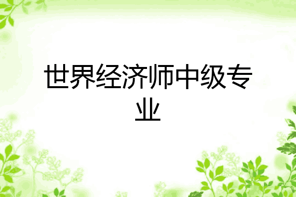 世界经济师中级专业