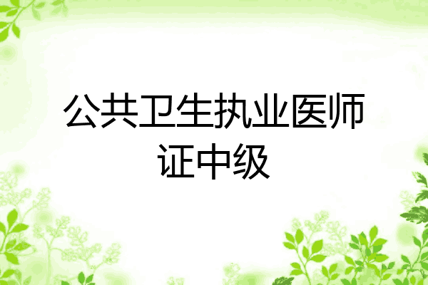 公共卫生执业医师证中级