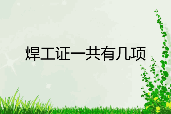 焊工证一共有几项
