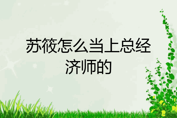苏筱怎么当上总经济师的