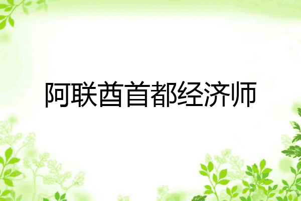 阿联酋首都经济师