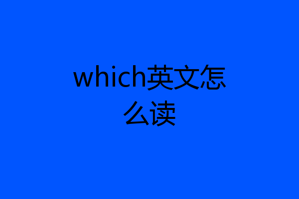 which英文怎么读