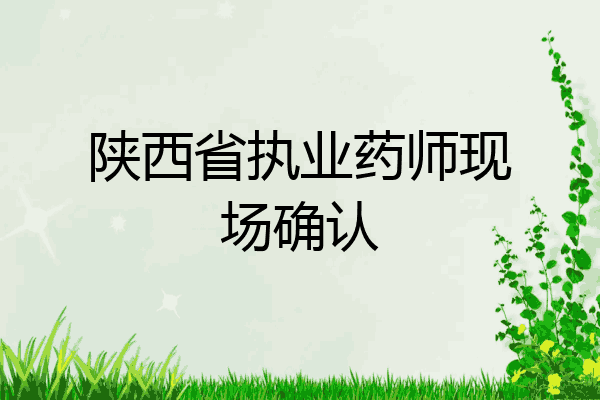 陕西省执业药师现场确认