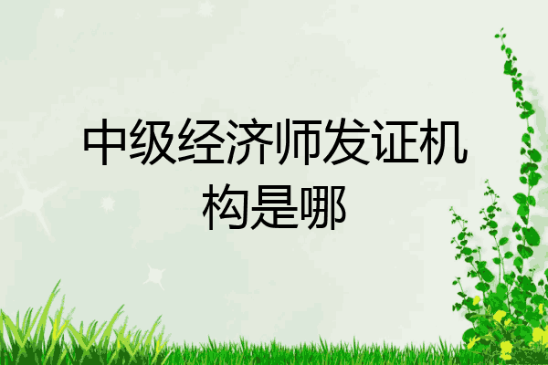 中级经济师发证机构是哪
