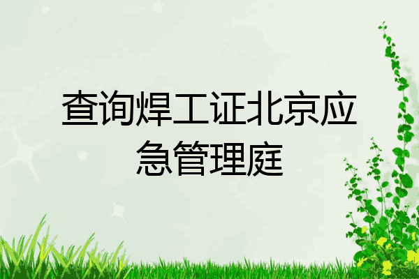 查询焊工证北京应急管理庭